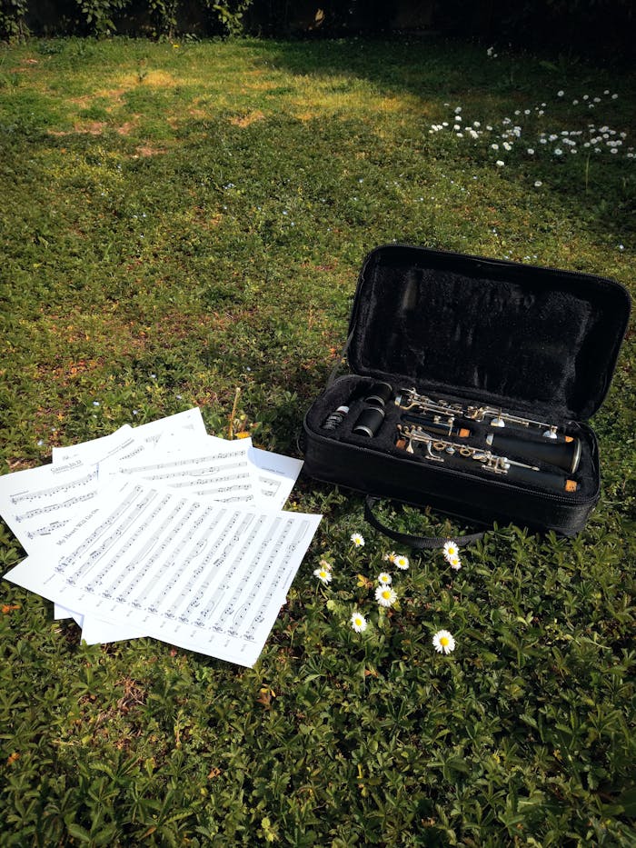 An outdoor setup featuring a clarinet case and scattered music sheets on lush grass.